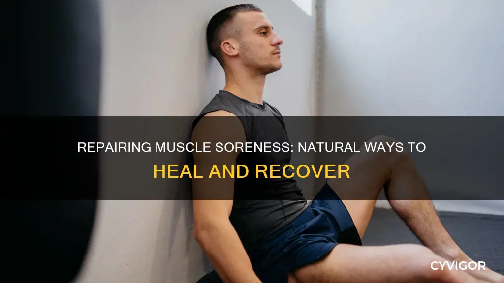 how to repair muscle soreness