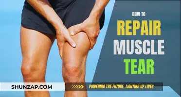 Repairing Muscle Tears: A Comprehensive Guide to Recovery