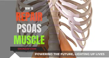 Repairing Psoas Muscle: A Comprehensive Guide to Healing