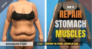 Repairing Stomach Muscles: A Guide to Strengthening Your Core