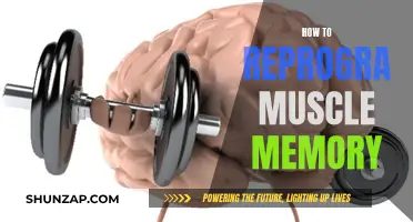 Reprogramming Muscle Memory: Techniques for Rewiring Your Body's Habits