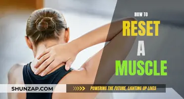 Resetting Muscles: Techniques for Optimal Recovery and Performance