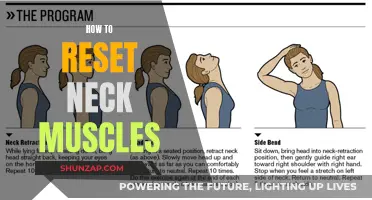 Resetting Neck Muscles: Simple Techniques for Quick Relief