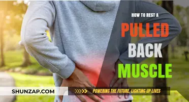 Effective Ways to Heal and Rest a Pulled Back Muscle