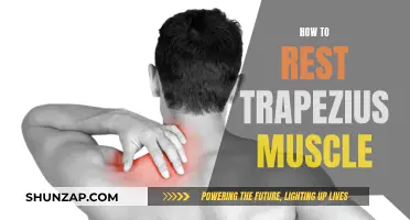 Resting Your Trapezius: Techniques for Muscle Relaxation and Recovery