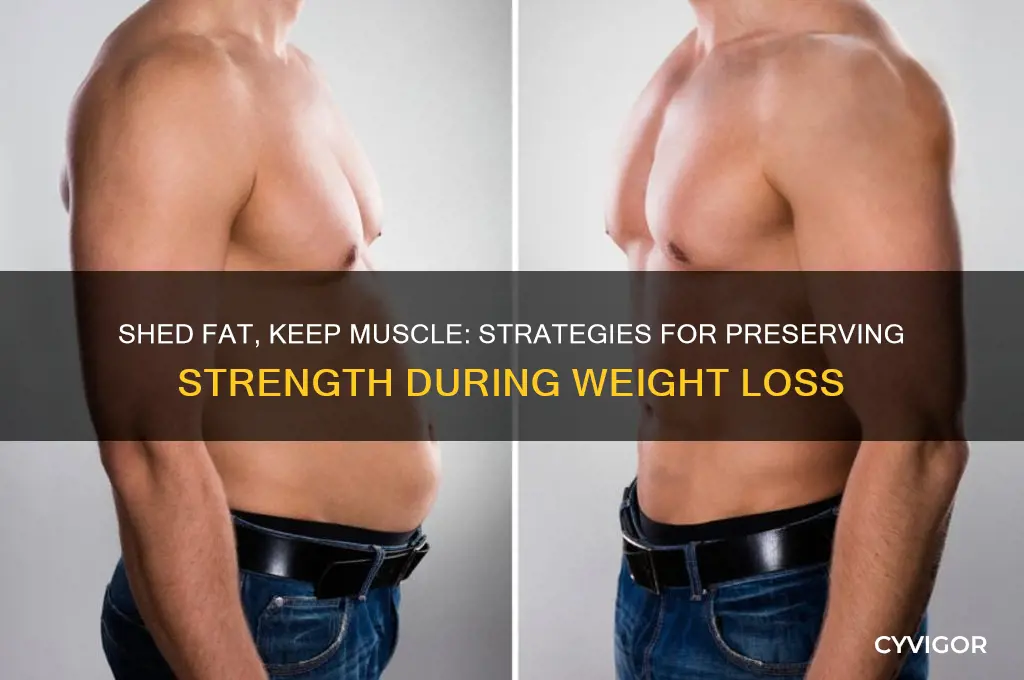 how to retain muscle mass while losing weight muscle group