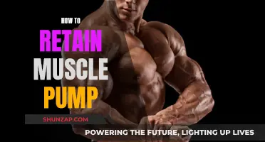 Retaining Muscle Pump: Strategies for Sustaining Your Gains