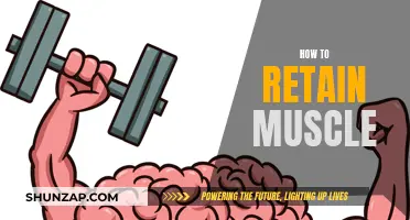 Retaining Muscle: Strategies for Maintaining Your Hard-Earned Physique