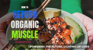Returning to Natural Muscle: A Guide to Organic Fitness