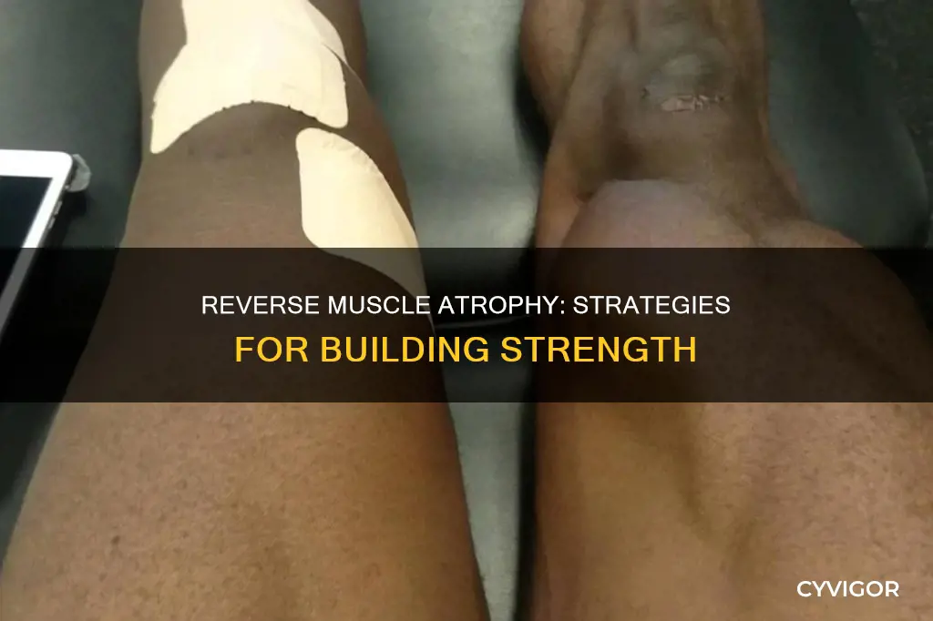 how to reverse muscle atrophy