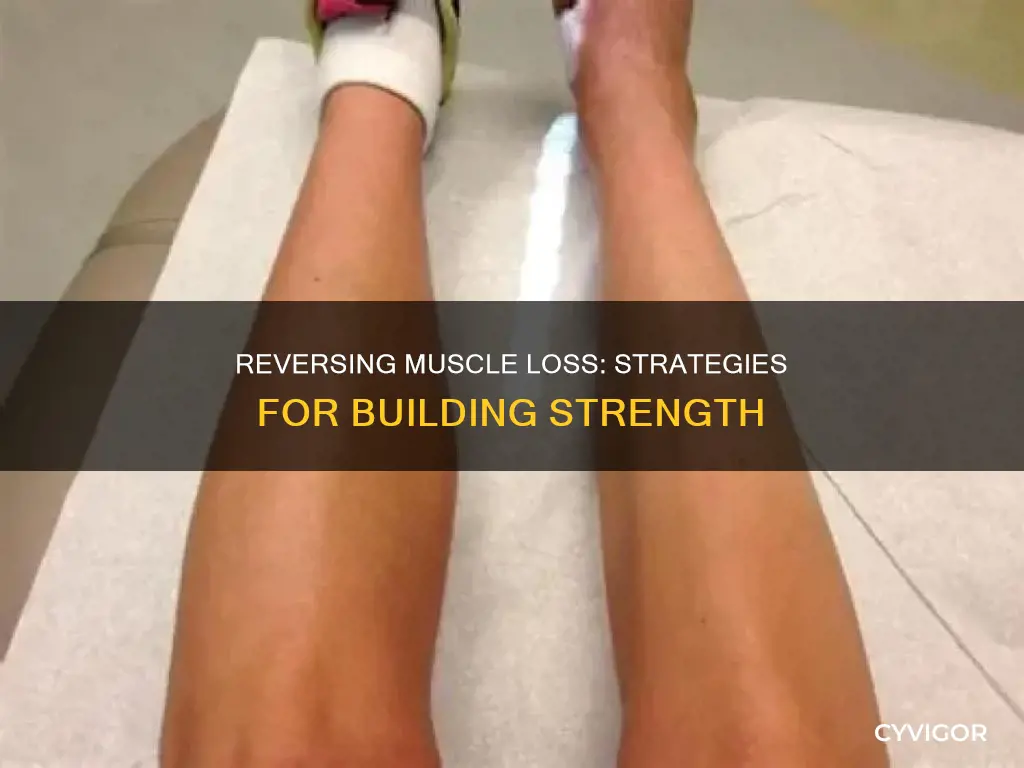 how to reverse muscle loss