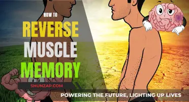 Undoing Muscle Memory: Rewriting Your Body's Habits