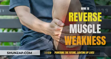 Reverse Muscle Weakness: Strategies for Strength and Recovery