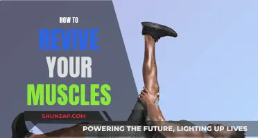 Reviving Muscles: Techniques for Quick and Effective Muscle Recovery