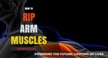 Effective Techniques to Rip and Sculpt Powerful Arm Muscles Fast
