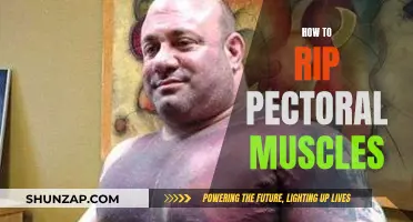 Ripping Pectoral Muscles: The Ultimate Guide to Success