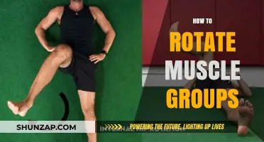 Effective Muscle Rotation Strategies for Balanced Strength and Recovery