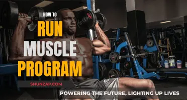 Building Muscle: A Guide to Effective Training Programs