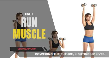 Building Muscle: Strategies for Strength and Growth