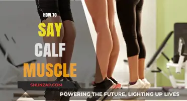 Strengthening Your Calves: A Guide to Toned Lower Legs