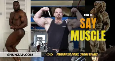 Exploring the Many Ways to Say "Muscle