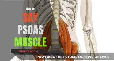 Pronouncing the Psoas Muscle: A Guide to Getting it Right