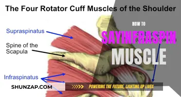 Mastering the Tongue Twister: Saying Infraspinatous Muscle