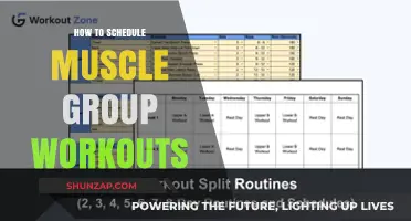 Effective Muscle Group Workout Scheduling: Maximize Gains, Prevent Over-Training
