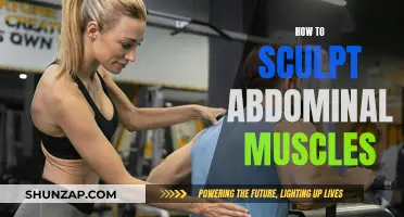 Unlocking Your Abs: A Guide to Sculpting Abdominal Muscles