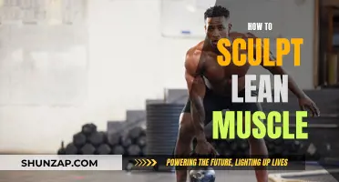 Building Lean Muscle: A Sculptor's Guide to Fitness