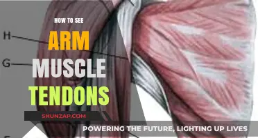 Revealing Arm Muscle Tendons: Techniques for Clear Visualization and Definition