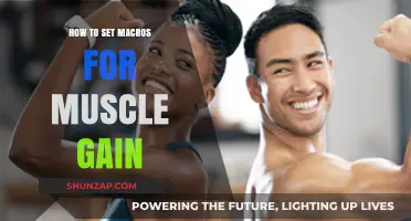 Mastering Macros for Muscle Gain: A Step-by-Step Guide