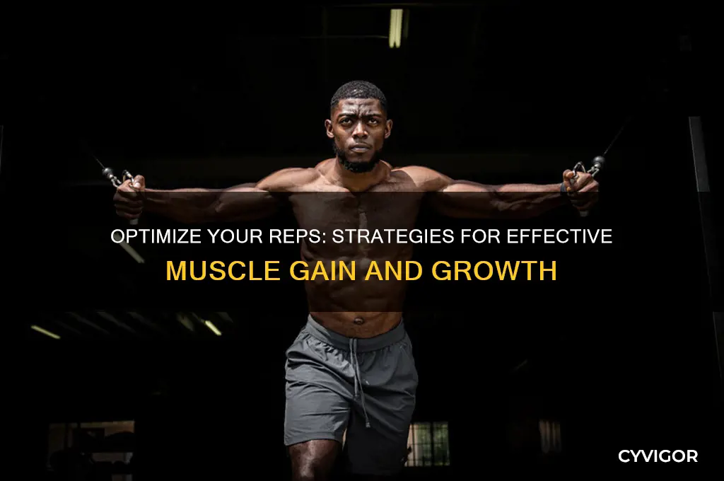 how to set reps for muscle gain