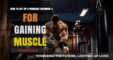 Build Muscle Effectively: Crafting Your Ultimate Workout Regimen Guide