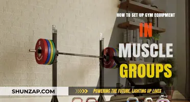 Organize Your Gym Equipment for Targeted Muscle Group Training