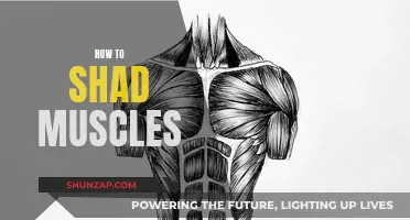 Shading Muscles: Techniques for Realistic Definition