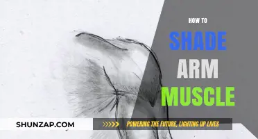 Mastering Arm Muscle Shading: Techniques for Realistic Artistry