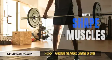 Building Muscles: Strategies for Sculpting Your Physique