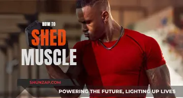 Strategies to Effectively Shed Muscle Mass