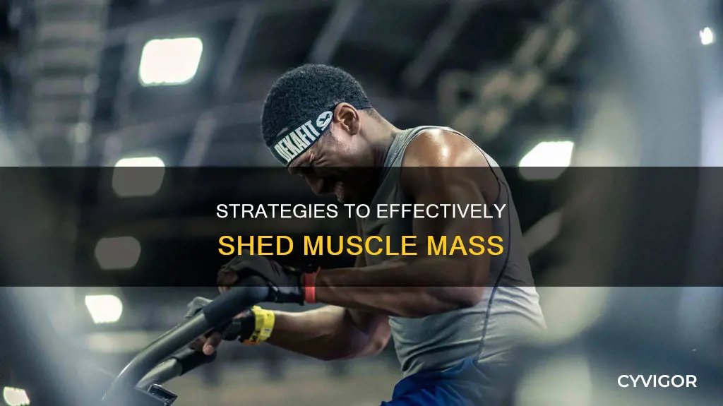 how to shed muscle