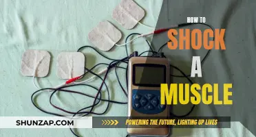 Shocking Muscles: The Ultimate Guide to Muscle Stimulation