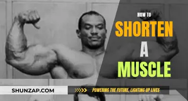 Shortening Muscles: Techniques for Targeted Flexibility and Performance