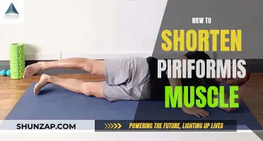 Shortening the Piriformis Muscle: Simple Techniques for Quick Relief