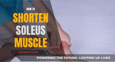 Unlocking Soleus Muscle Flexibility: Techniques for Shortening and Stretching