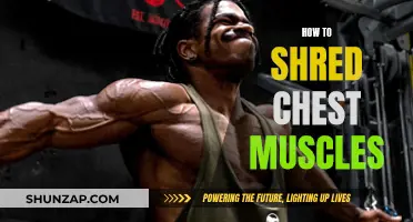 Building Chest Muscles: The Ultimate Guide to Shredding