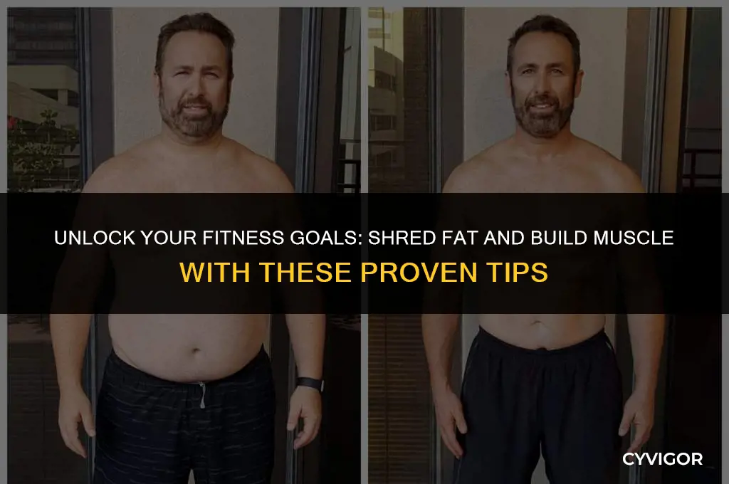 how to shred fat and build muscle