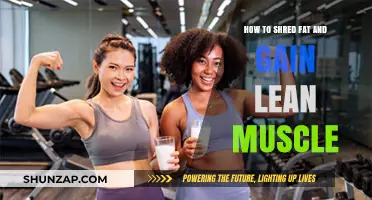 Effective Strategies to Shred Fat and Build Lean Muscle Fast