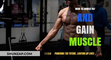 Shred Fat, Build Muscle: Ultimate Guide to Transform Your Body