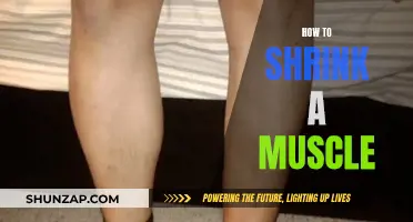 Shrinking Muscles: Strategies for Targeted Muscle Reduction