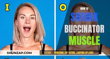 Shrinking the Buccinator Muscle: Techniques for a Slimmer Face
